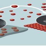 agregacija nanokristala kadmijum selenida