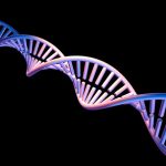Četiri nova slova DNK- dupla životna abeceda