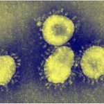 Koronavirus – opasnost od pandemije