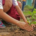 Zasađivanjem stabala u borbi protiv klimatskih promjena