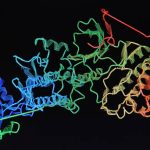 Kako se proteini vezuju za specifične pratioce unutar ćelija