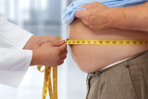 Epidemija gojaznosti:  „Svjetski trendovi i potraga za rješenjem“