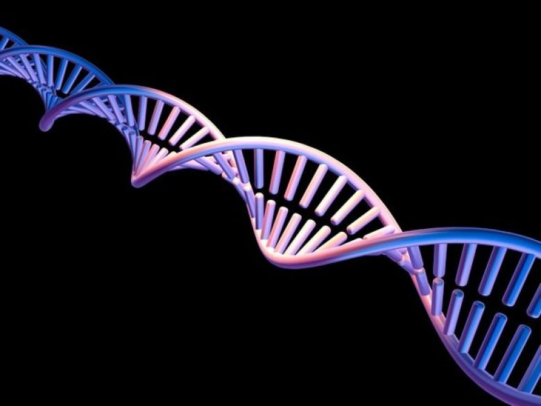 Četiri nova slova DNK- dupla životna abeceda